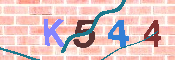 キャプチャ画像