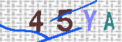 キャプチャ画像