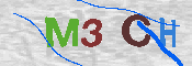 キャプチャ画像