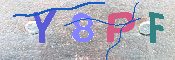 キャプチャ画像