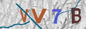 キャプチャ画像