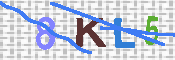 キャプチャ画像
