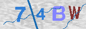 キャプチャ画像