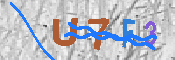 キャプチャ画像