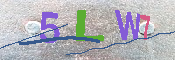 キャプチャ画像