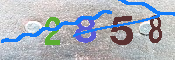 キャプチャ画像