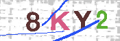 キャプチャ画像