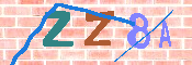 キャプチャ画像