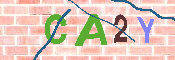キャプチャ画像