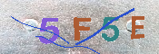 キャプチャ画像