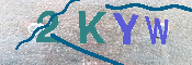 キャプチャ画像