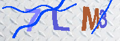キャプチャ画像