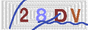 キャプチャ画像