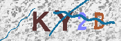 キャプチャ画像