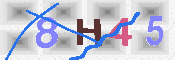 キャプチャ画像