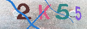 キャプチャ画像