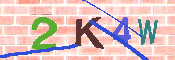 キャプチャ画像