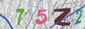 キャプチャ画像