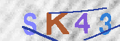キャプチャ画像