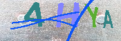キャプチャ画像