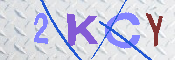キャプチャ画像