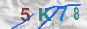 キャプチャ画像