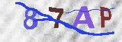 キャプチャ画像