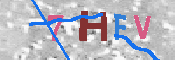 キャプチャ画像