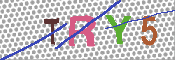 キャプチャ画像