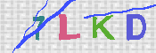 キャプチャ画像