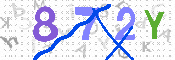 キャプチャ画像