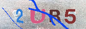 キャプチャ画像