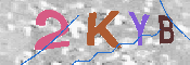 キャプチャ画像