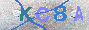 キャプチャ画像