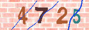 キャプチャ画像