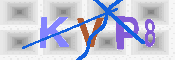 キャプチャ画像