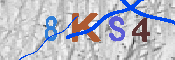 キャプチャ画像
