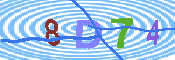 キャプチャ画像
