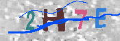 キャプチャ画像
