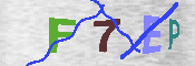 キャプチャ画像