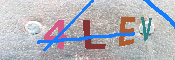 キャプチャ画像