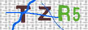 キャプチャ画像