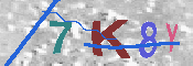 キャプチャ画像