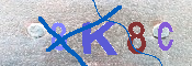 キャプチャ画像