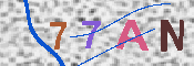 キャプチャ画像