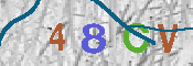 キャプチャ画像