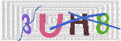 キャプチャ画像