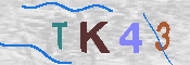 キャプチャ画像