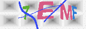 キャプチャ画像