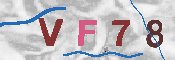 キャプチャ画像